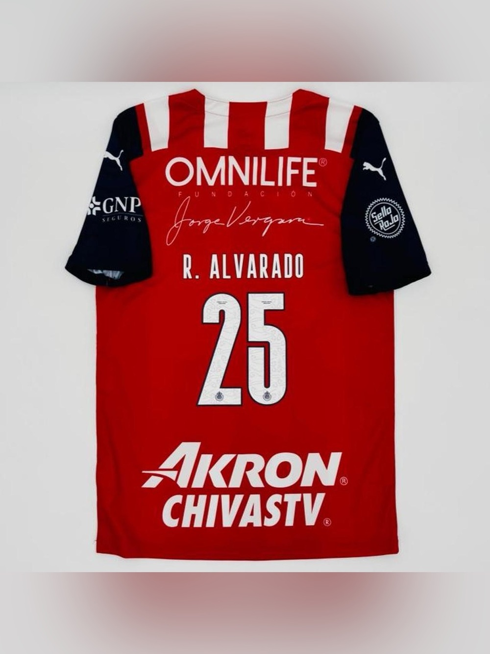 Chivas De Guadalajara Piojo Alvarado 2022
home jersey